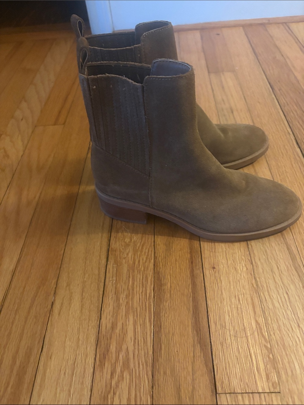 Dolce vita chelsea boots